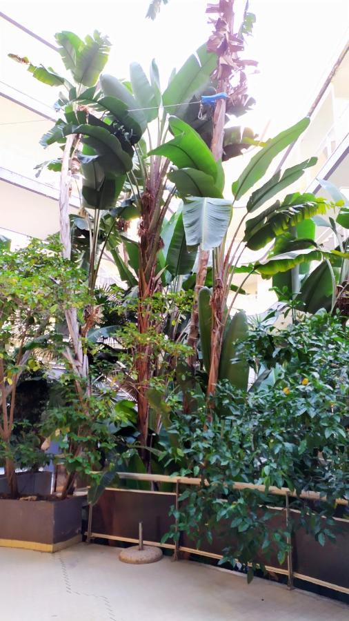 Casa Felicidad Alguer Bed and Breakfast Εξωτερικό φωτογραφία
